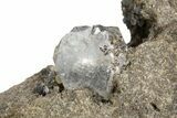 Herkimer Diamonds in Matrix - The Ace of Diamonds Mine, New York #324475-1